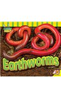 Earthworms