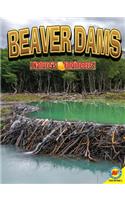 Beaver Dams: (Nature's Engineers)