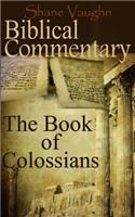 Biblical Commentary