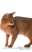 Abyssinian Cat Affirmations Workbook Abyssinian Cat Presents: Positive and Loving Affirmations Workbook. Includes: Mentoring Questions, Guidance, Supporting You.