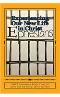 Experience Our New Life in Christ
