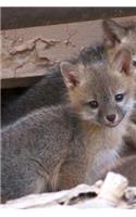 So Sweet Grey Fox Kit Baby Animal Journal