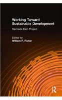 Working Toward Sustainable Development: Narmada Dam Project
