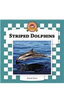 Striped Dolphins