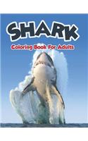 Shark Coloring Book For Adults.: Great Gift for Boys & Girls, Ages 2-4. Cute Shark Coloring Books Who Loves Baby Shark.