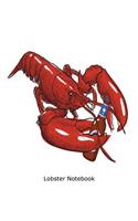 Lobster Notebook