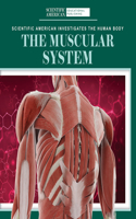 Muscular System