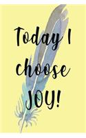 Today I Choose Joy: Food/Meal Planner - Menu Planner - Grocery List -Journal - Notebook - Understand And Control What You Are Eating/Buying - Stunning Glossy, Feather D