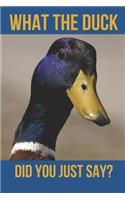 What the Duck Did You Just Say?