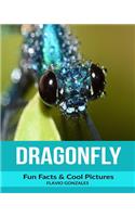 Dragonfly: Fun Facts & Cool Pictures