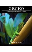 Amazing Facts about Gecko