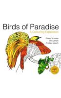 Birds of Paradise