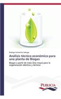 Análisis técnico económico para una planta de Biogas