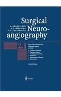 Surgical Neuroangiography