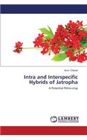 Intra and Interspecific Hybrids of Jatropha