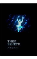 Theo Eshetu