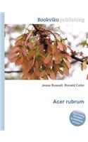 Acer Rubrum