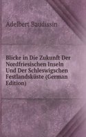 Blicke in Die Zukunft Der Nordfriesischen Inseln Und Der Schleswigschen Festlandskuste (German Edition)