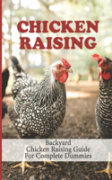 Chicken Raising