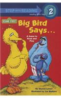 Big Bird Says...a Game