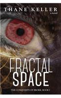 Fractal Space