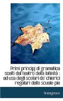 Primi Principj Di Gramatica Scelti Dal Teatro Della Latinità: (Italian)