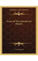 Secrets of the Cultivation of Memory