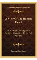 A View Of The Human Heart