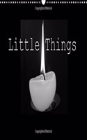 Little Things 2016: The special moments that fill our lives with joyful memories(Calvendo Art)
