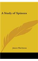 A Study of Spinoza