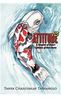 Attitude 13