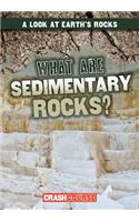 What Are Sedimentary Rocks?