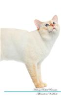 Mekong Bobtail Affirmations Workbook Mekong Bobtail Presents: Positive and Loving Affirmations Workbook. Includes: Mentoring Questions, Guidance, Supporting You.