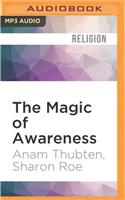 Magic of Awareness