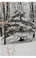 Winter Picture Scenic Journal
