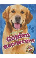 Golden Retrievers