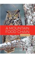 Mountain Food Chain
