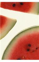 2020 Daily Planner Food Juicy Watermelon Slices Book 388 Pages