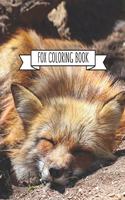 Fox Coloring Book