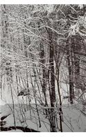 2019 Daily Planner Winter Scenic Snowstorm 384 Pages: (Notebook, Diary, Blank Book)(2019 Planners Calendars Organizers Datebooks Appointment Books Agendas)