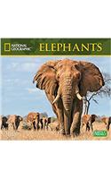 National Geographic Elephants 2018 Wall Calendar