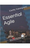 Essential Agile