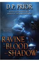 Ravine of Blood and Shadow: Soldier, Outlaw, Hero, King