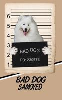 Bad Dog Samoyed: Blood Sugar Diet Diary Journal Log Notebook Featuring 120 Pages 6x9