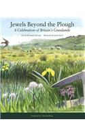 Jewels Beyond the Plough