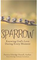 Sparrow: Knowing God's Love During Every Moment