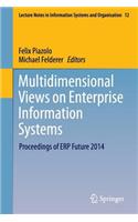 Multidimensional Views on Enterprise Information Systems