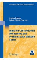 Topics on Concentration Phenomena and Problems with Multiple Scales