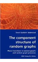component structure of random graphs - Phase transitions in random graphs and random graph processes