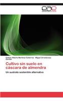 Cultivo Sin Suelo En Cascara de Almendra